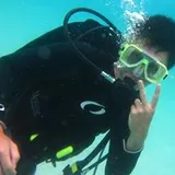 Authentic Review by Zheng Yang