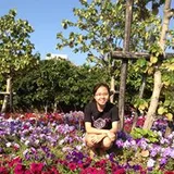 Authentic Review by Quek