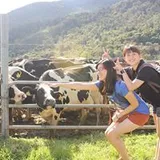 Authentic Review by Cheng Kar Onn