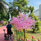 Authentic Review by Sandy Tan