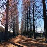 Authentic Review by Vivi Low