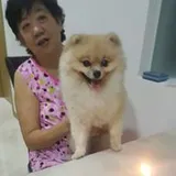 Authentic Review by JENNY ONG