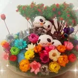 Authentic Review by Jia Xin