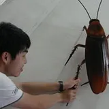 Authentic Review by Wan Lin