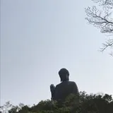 Authentic Review by As Df