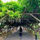 Authentic Review by Ivan Ng