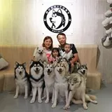 Authentic Review by Thomas Koe