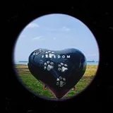 Authentic Review by Sharon Lim