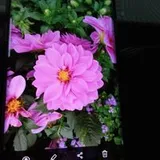 Authentic Review by Ng Poh  Muay Florence