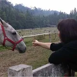 Authentic Review by Monica Ang