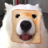 Authentic Review by Ryan Ng