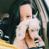 Authentic Review by Shirley Ong