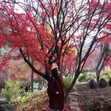 Authentic Review by Sherry Chew
