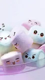 Authentic Review by Amy Tam