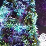 Authentic Review by Valerie De Silva