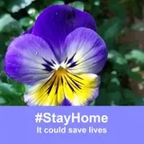 Authentic Review by steven