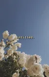 Authentic Review by SY Low