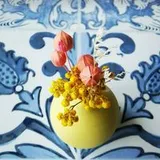 Authentic Review by Shirley Phua