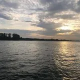 Authentic Review by Eric