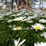 Authentic Review by TAN HUEY MAY