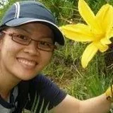 Authentic Review by Joy Tim