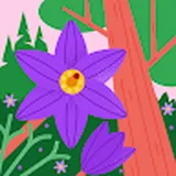 Authentic Review by Debbie Yeo