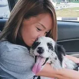 Authentic Review by Angie Lim