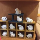 Authentic Review by Serine Ng