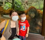 Authentic Review by Elaine Yeoh
