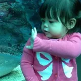 Authentic Review by Sansan