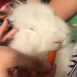 Authentic Review by Kylie Yap