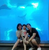 Authentic Review by Juliana