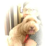 Authentic Review by May Ho