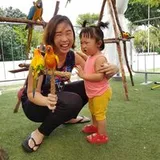 Authentic Review by Irene Poh