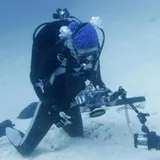 Authentic Review by Livian