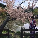 Authentic Review by Amy Lai