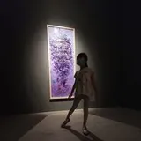 Authentic Review by ANNA WONG