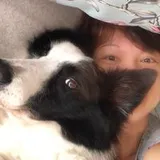 Authentic Review by Low Lily