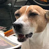 Authentic Review by Chia Ee Lin