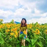 Authentic Review by Chang
