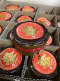 Authentic Review by LIM KOON TIN