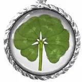 Authentic Review by Jesslyn Lim