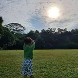 Authentic Review by Li Wenhui