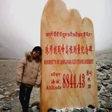 Authentic Review by Miao Lin