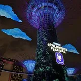 Authentic Review by Serene Chan