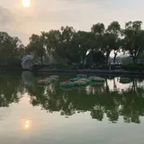 Authentic Review by Lam WS