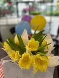 Authentic Review by Zhou