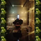 Authentic Review by Kermit