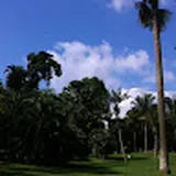 Authentic Review by YONG KENG KUM