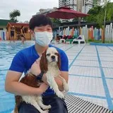 Authentic Review by Anlui